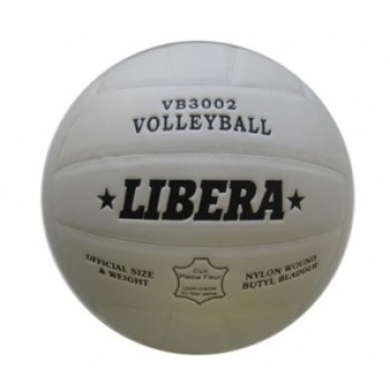 Мяч волейбольный VB3002