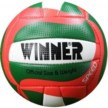 Мяч волейбольный Winner Speed №5